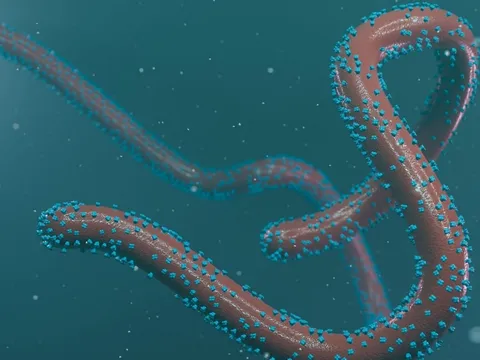 Xuất hiện virus lạ gây sốt xuất huyết có tỷ lệ tử vong tới 88% tại Trung Phi