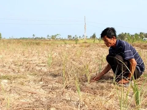 Theo dõi chặt chẽ thông tin cảnh báo thiên tai