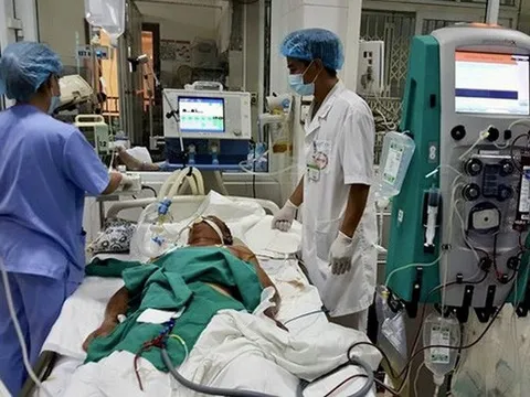 Hà Nội ghi nhận ca bệnh đầu tiên nhiễm liên cầu khuẩn lợn trong năm 2023