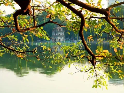 Dự báo thời tiết ngày 5/3: Bắc bộ sáng và đêm trời rét, trưa chiều trời nắng