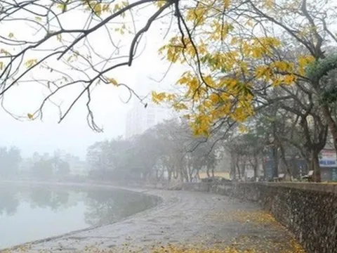 Dự báo thời tiết ngày 11/3: Hà Nội có mưa, nhiệt độ thấp nhất 18 độ C