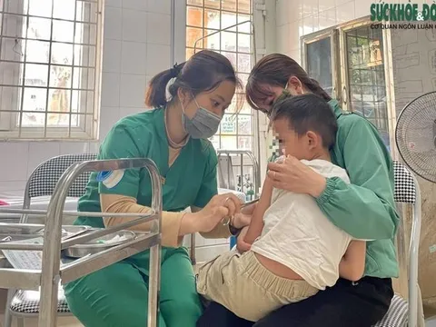 Một ca tử vong vì bệnh dại, bác sĩ khuyến cáo cách phòng chống bệnh dại mùa nắng nóng