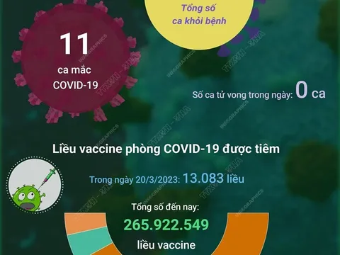 Tình hình dịch bệnh COVID-19 tại Việt Nam ngày 21/3