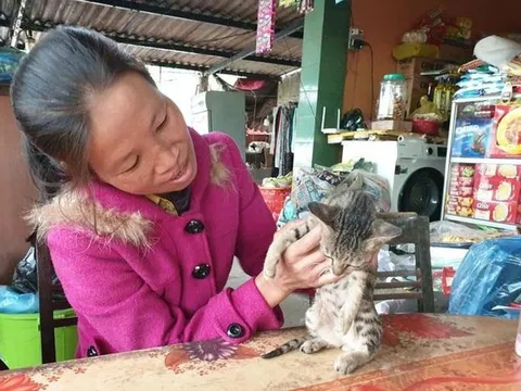 Vượt cấm cản, dị nghị, 'Lệ tạp hóa' quyết tâm đăng ký hiến tạng