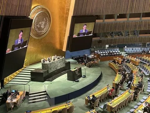 Việt Nam thúc đẩy Nghị quyết đề nghị ICJ tư vấn về biến đổi khí hậu