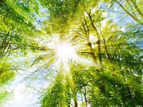 Đợt nắng nóng đầu tháng 4 kéo dài bao lâu?