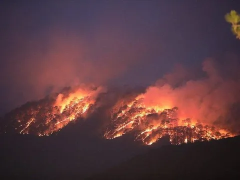 Chung tay bảo vệ rừng: Nhiệm vụ không của riêng ai!