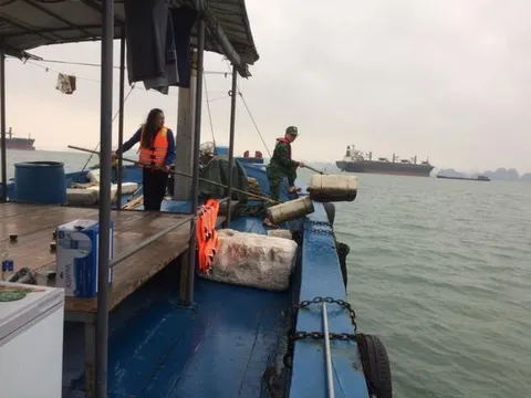 Ra quân bảo vệ môi trường biển Hạ Long