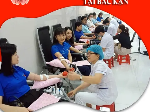 Ghi nhận từ phong trào hiến máu tình nguyện tại Bắc Kạn