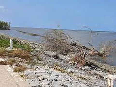 Thu Quỹ phòng, chống thiên tai năm 2023