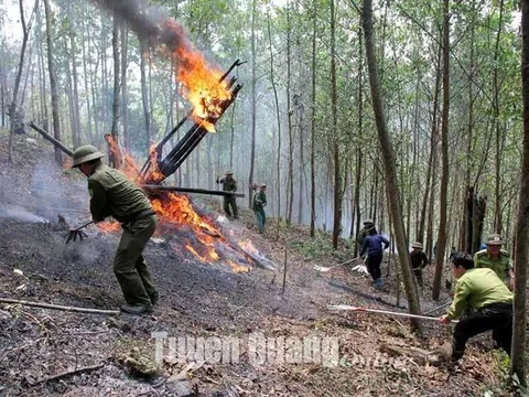 Tuyên Quang: Huyện Sơn Dương diễn tập ứng phó cháy rừng và tìm kiếm cứu nạn năm 2023