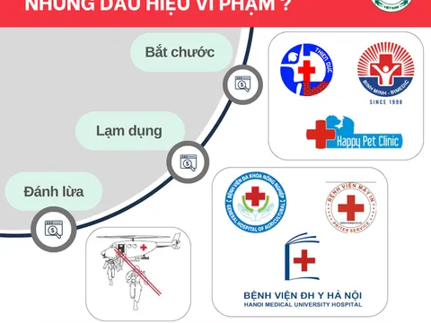Ngày thứ 3 hơn 16 nghìn người tham gia thi trực tuyến tìm hiểu biểu tượng phong trào Chữ thập đỏ và Trăng lưỡi liềm đỏ quốc tế