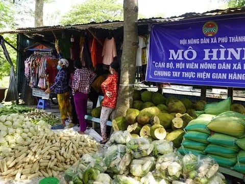 Chuyện những chuyến hàng '0 đồng' bên dòng kênh Thần Nông