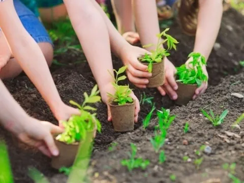 Đắk Nông: Phát động 'Tết trồng cây đời đời nhớ ơn Bác Hồ'