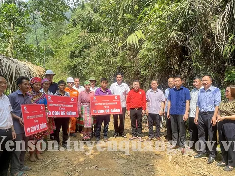 Tuyên Quang: Trao tặng 30 con dê giống giúp hộ nghèo phát triển kinh tế tại thôn Vàng On, xã Trung Minh