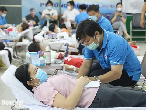Đông Nai: Phát động chiến dịch Những giọt máu hồng hè năm 2023