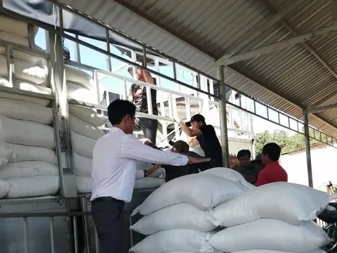 Hoàn thành xuất cấp gần 130 tấn gạo dự trữ quốc gia hỗ trợ học sinh 2 tỉnh