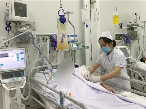 6 lọ thuốc hiếm cứu bệnh nhân ngộ độc botulinum do WHO viện trợ khẩn cấp đã về đến TPHCM