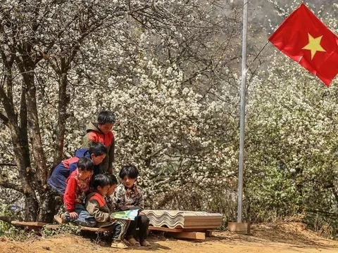 'Thư viện trên đá'