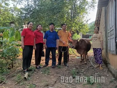 Hội Chữ thập đỏ Tân Lạc, Hòa Bình: Thiết thực hưởng ứng Tháng Nhân đạo