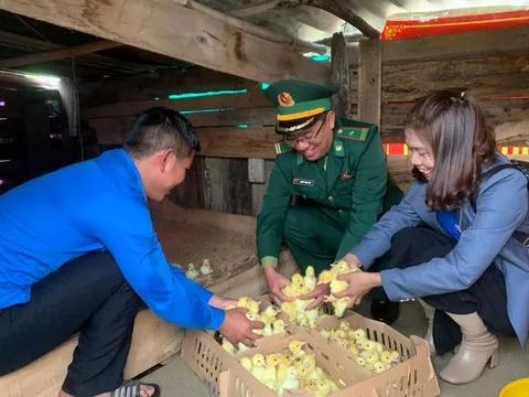 Đồn Biên phòng cửa khẩu Hồng Vân trao sinh kế để người dân thoát nghèo