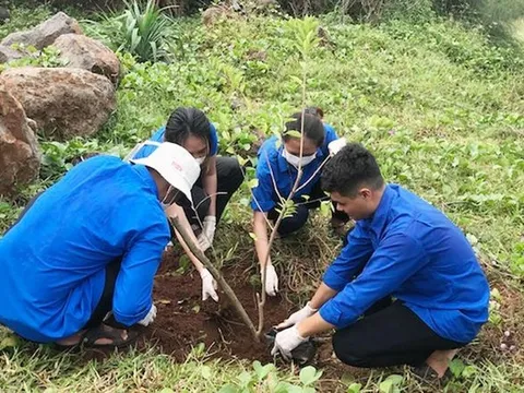 Chung tay bảo vệ môi trường biển, đảo