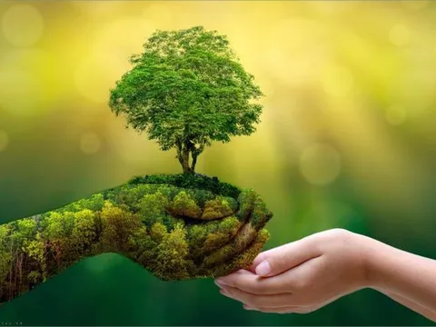 Gìn giữ Việt Nam Xanh nhìn từ các quyết sách của Chính phủ