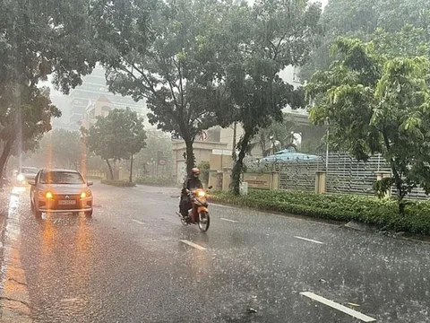 Dự báo thời tiết ngày 28/6: Bắc Bộ có mưa rào và dông rải rác