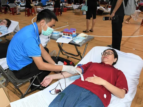 Hành trình đỏ- Kết nối dòng máu Việt