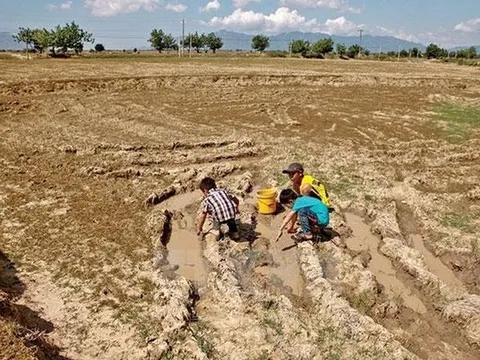 Cần kịch bản ứng phó với thời tiết đặc biệt khắc nghiệt do El Nino