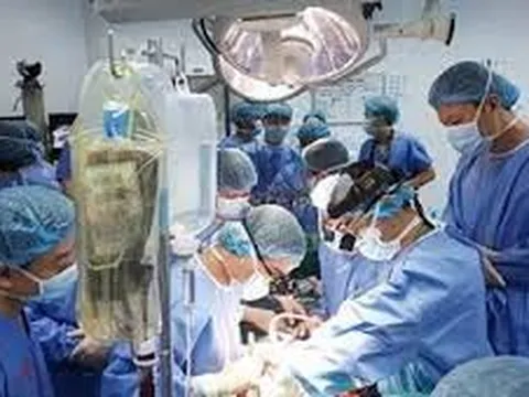 Bổ sung chính sách pháp luật về hiến, ghép mô, tạng