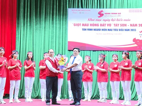 Khai mạc ngày hội "Giọt hồng đất võ" Tây Sơn - năm 2023