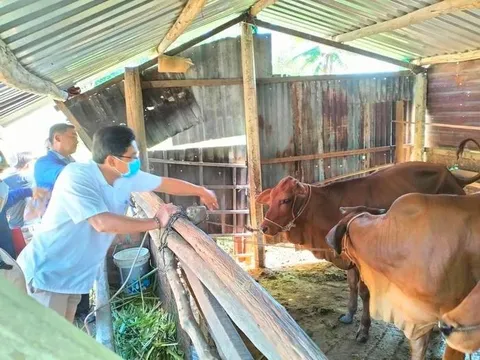 Gia Lai: Hỗ trợ sinh kế sản xuất cho hộ nghèo, cận nghèo thị xã An Khê
