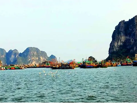 Ứng phó bão số 1: Các tỉnh sẵn sàng cấm biển, sơ tán dân khỏi vùng nguy hiểm