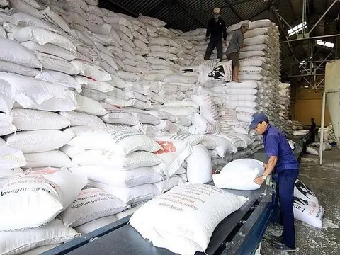 Chính phủ đã hỗ trợ hơn 18,2 nghìn tấn gạo cho hàng trăm nghìn hộ dân