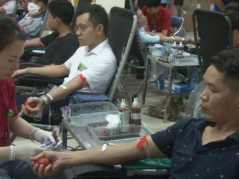 Sở Y tế Nam Định hiến máu tình nguyện hưởng ứng Ngày hội “Những giọt máu hồng” - hè 2023