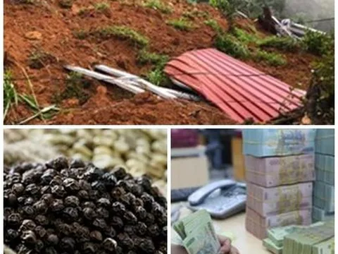 Chỉ đạo, điều hành của Chính phủ, Thủ tướng Chính phủ nổi bật tuần từ 31/7 - 4/8/2023