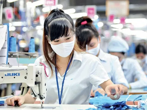 Chính sách thuế hỗ trợ tổng thể nền kinh tế