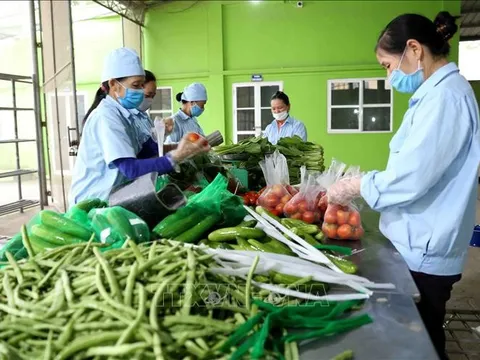 Doanh nghiệp, hợp tác xã, hộ kinh doanh được hỗ trợ lãi suất 2%/năm