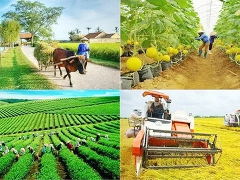 Giao kế hoạch vốn cho các địa phương thực hiện 3 chương trình mục tiêu quốc gia