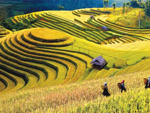 Xây dựng Nghị quyết của Chính phủ về phát triển KTXH vùng trung du và miền núi Bắc Bộ