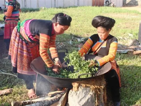 Sơn La: Nhiều giải pháp giúp giảm nghèo bền vững