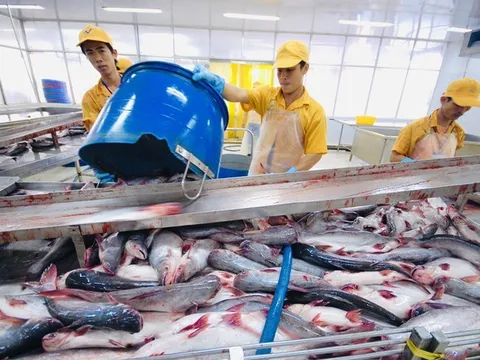 Cải thiện chất lượng nông - lâm - thủy sản