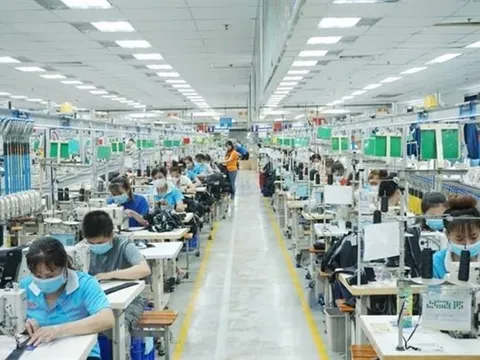 Chiến lược đồng bộ phục hồi chuỗi cung ứng lao động sau đại dịch