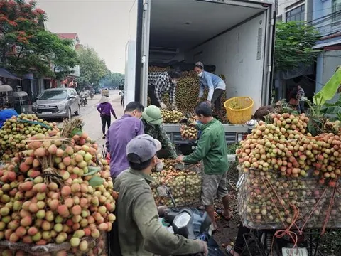 Xây dựng cơ chế, chính sách xúc tiến thương mại, phát triển thị trường nông sản