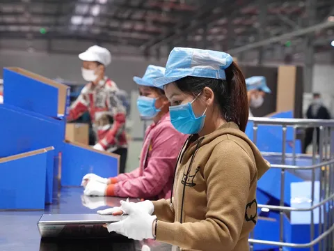 Hơn 50 triệu lao động sẽ có sổ việc làm điện tử