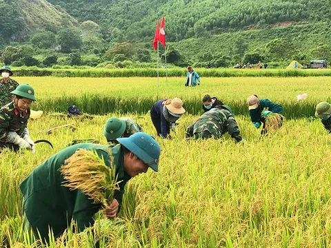 Xây dựng kinh tế gắn với chăm lo đời sống đồng bào dân tộc thiểu số