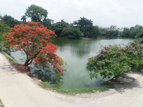 Phát triển "nông nghiệp sinh thái, nông thôn hiện đại, nông dân văn minh" - Mô hình nông thôn tiêu biểu giữa lòng Thủ đô