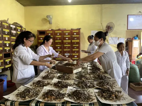 Thơm thảo thuốc Nam từ thiện 