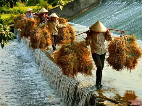 Ảnh báo chí trong “cơn lốc” thông tin trên Internet hiện nay
